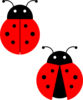 Ladybugs Clip Art