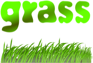 Grass Green Clip Art