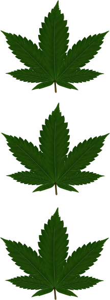Three Cannabis Leaves 2 Clip Art at Clker.com - vector clip art online