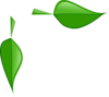 Peter Hojas Clip Art