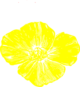 Yellow Poppy Clip Art