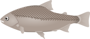 Gray Fish Clip Art
