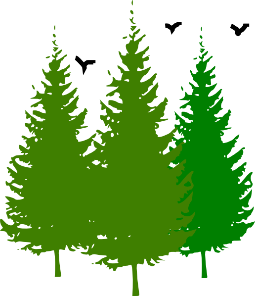 3 Pinetrees With Birds Clip Art at Clker.com - vector clip art online