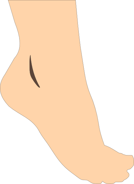 Totetude Foot Outline Clip Art at Clker.com - vector clip art online