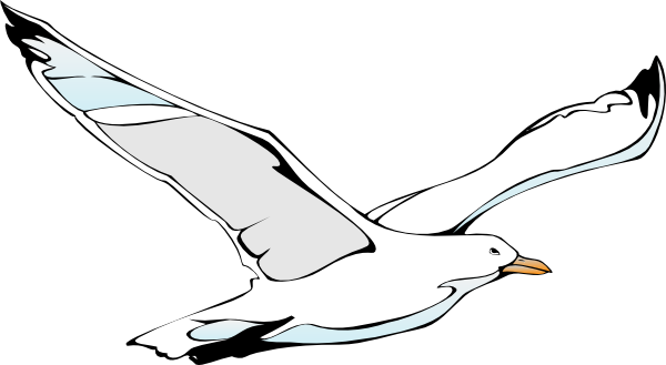 free clip art seagull cartoon - photo #34