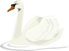 Swan2 Clip Art