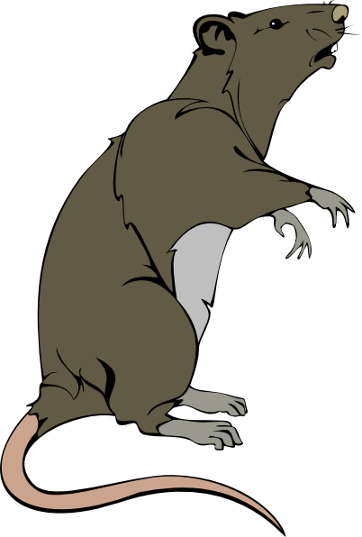 Grey Greedy Rat Clip Art at Clker.com - vector clip art online, royalty