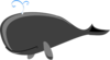 Whale Grey Big Clip Art
