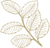 Olive Leaf Clip Art