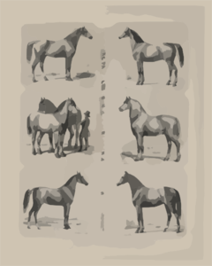 The Principal Breeds Of Horses In Use In North America Dedicated To The Friends And Admirers Of The Horse / Drawn From Life, Lith D & Pub D By A. Kollner. Clip Art