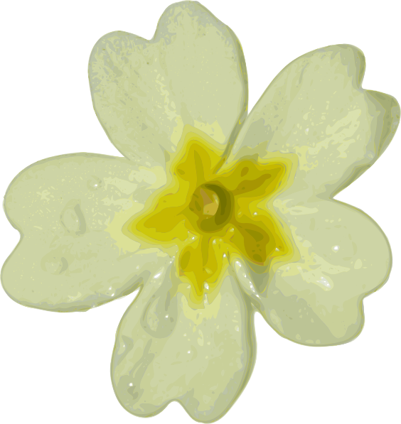 White Flower Clip Art at Clker.com - vector clip art online, royalty