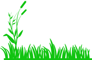 Meadow Clip Art