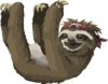 Inhabitants Npc Sloth Clip Art