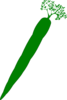 Green Carrot Clip Art