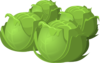 Cabbage Clip Art