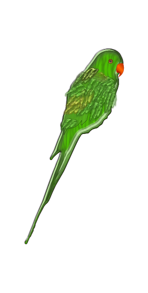 Parrot Clip Art at Clker.com - vector clip art online, royalty free