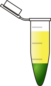 1 Phases Eppendorf Yellow And Green Clip Art