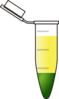 1 Phases Eppendorf Yellow And Green Clip Art