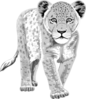 Leopard Clip Art