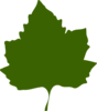 Green Leaf Clip Art