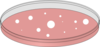 Red Petri Dish Clip Art