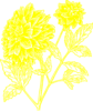 Yellow Dahlia Clip Art