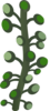 Firebog Underground Bogwillow Clip Art