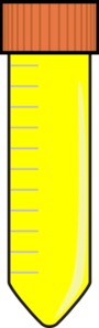 Falcon Tube Yellow Clip Art