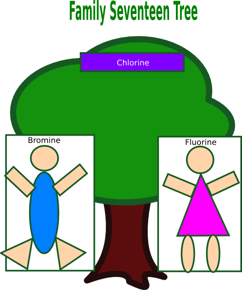 Download Family Tree 17 Clip Art at Clker.com - vector clip art ...