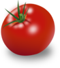 Tomatoes Clip Art