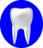 Tooth With Blue Outline Clip Art