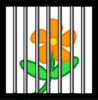 Flower Behind Bars Clip Art