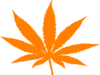 Weed Orange Clip Art