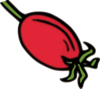 Rose-hip Clip Art