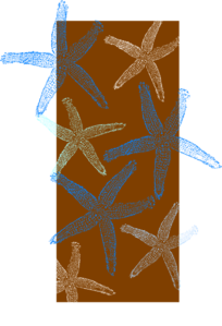 Vertical Starfish Clip Art