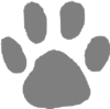 Bear Paw Clip Art