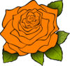 Orange Rose Flower Clip Art