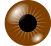 Brown Eye Clip Art