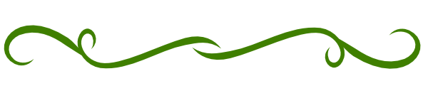 green-divider-hi.png