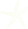 My Ivory Starfish Clip Art