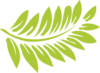 Fern Clip Art