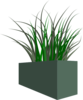 Grass In Square Planter Clip Art