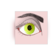 Female Eye And Eyebrow Clip Art