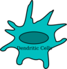 Dendritic Cell Red Clip Art