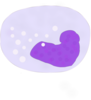 Monocyte Clip Art