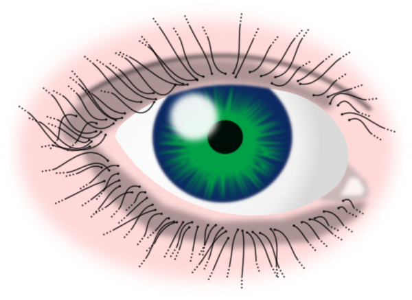 Green Eye Clip Art at Clker.com - vector clip art online, royalty free
