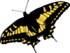 Yellow And Black Butterfly Clip Art