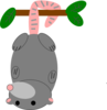 Possum Clip Art