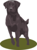 Dogs3 Clip Art