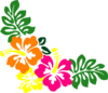 Hibiscus 20 Clip Art